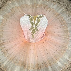 Elegant Pink and Gold Ballet Tutu